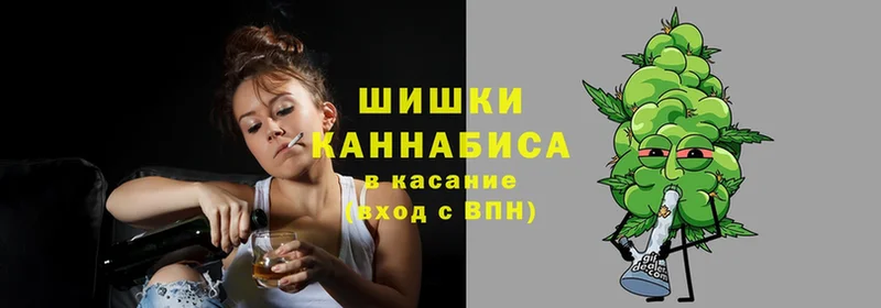 Каннабис OG Kush  Семикаракорск 